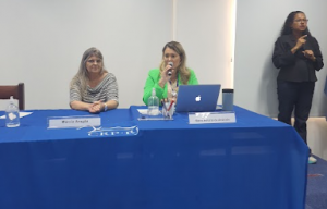 Captura-de-tela-2024-01-25-143216-300x192.png